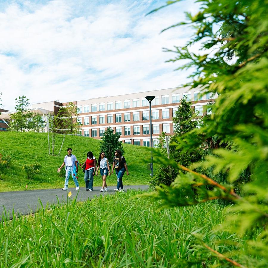 tree foreground of students walking quad walkway